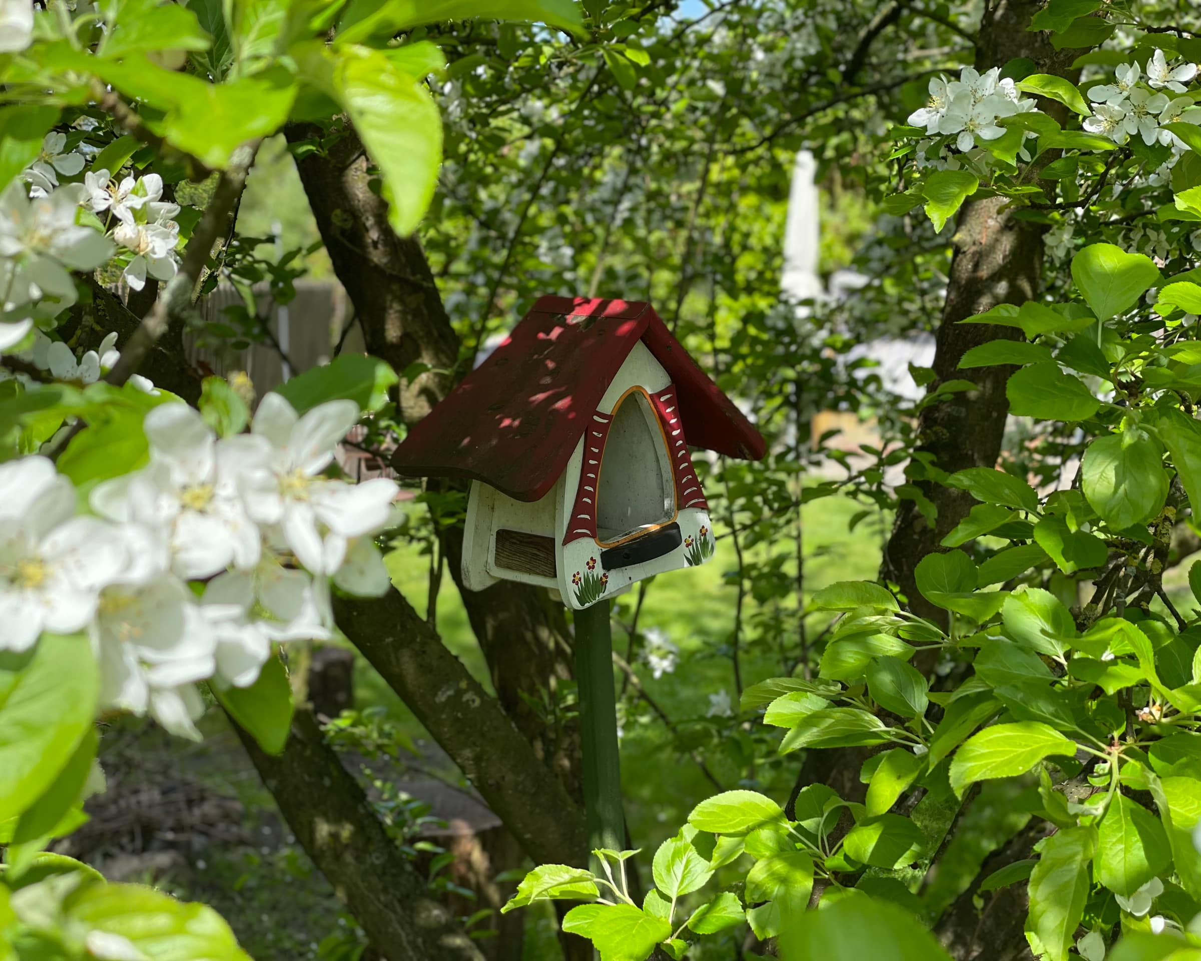 Impressionen von Tammy's Kids
